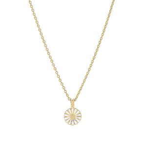 Marguerit collie
